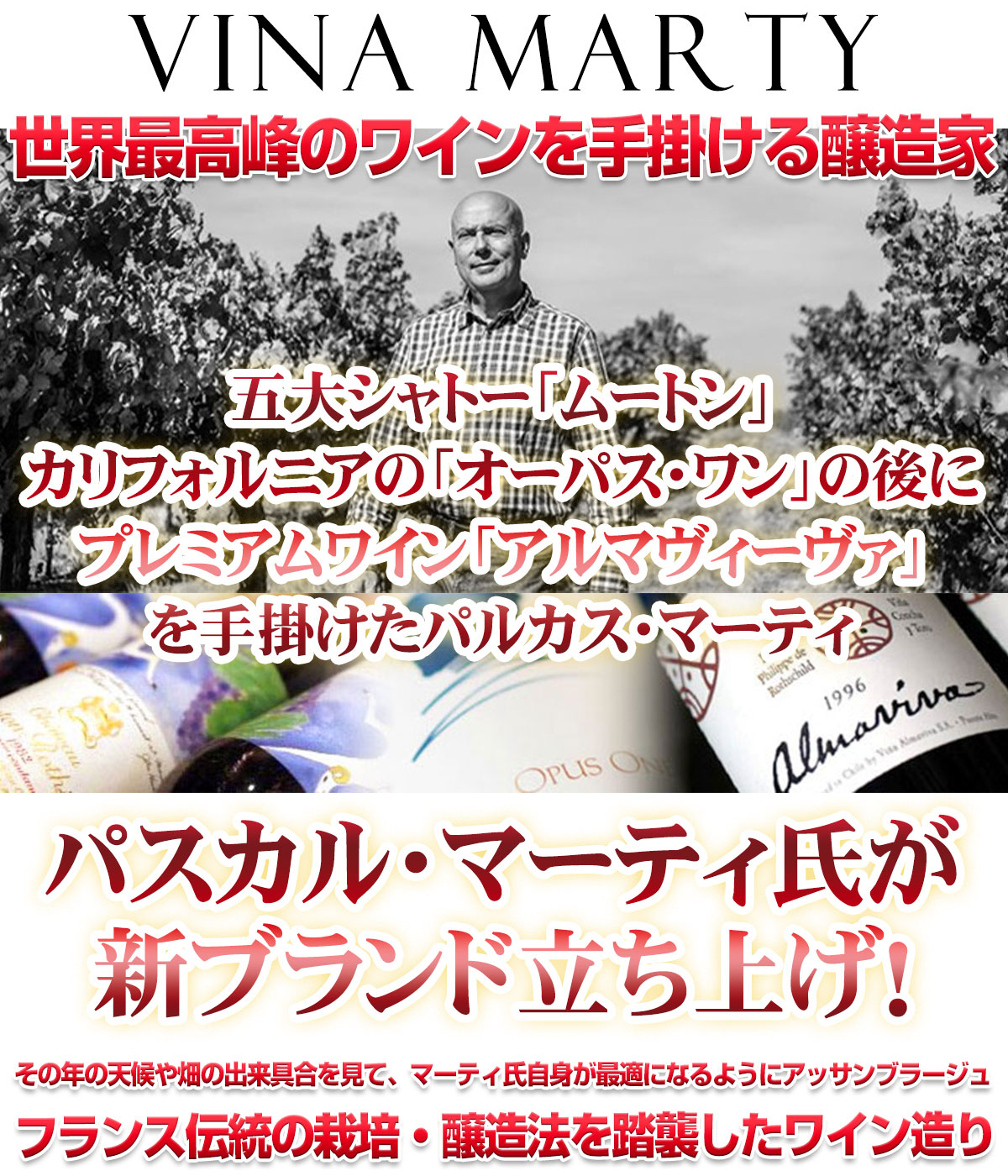 オーパスワンの元醸造責任者の一番お買い得赤！【カサ・デル・セロ・レゼルヴァ・カベルネ・ソーヴィニョン ヴィニャ・マーティ チリ セントラル・ヴァレー 赤ワイン フルボディ 750ml】サクラワインアワードGOLD 父の日 best-wine-10001149 ベストワイン輸入販売大人の至高屋 サンプル画像3