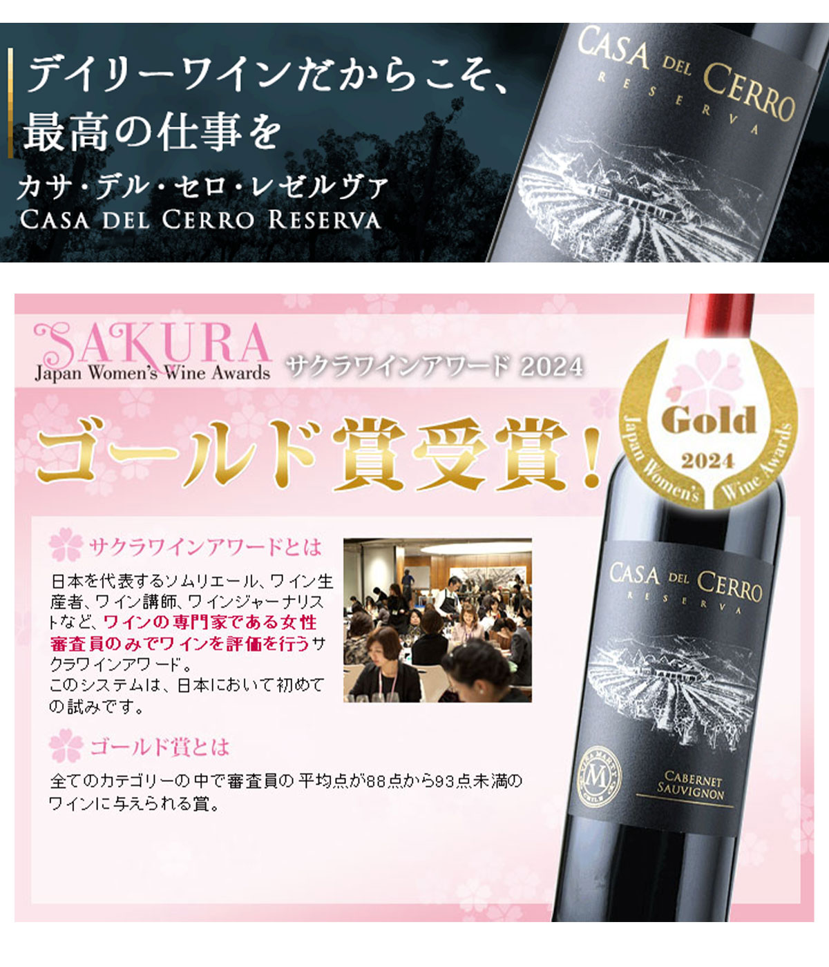 オーパスワンの元醸造責任者の一番お買い得赤！【カサ・デル・セロ・レゼルヴァ・カベルネ・ソーヴィニョン ヴィニャ・マーティ チリ セントラル・ヴァレー 赤ワイン フルボディ 750ml】サクラワインアワードGOLD 父の日 best-wine-10001149 ベストワイン輸入販売大人の至高屋 サンプル画像2