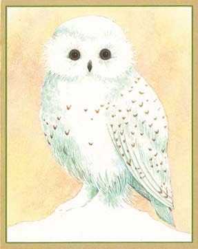 Caspari カスパリ 輸入クリスマスカード グリーティングカード 二つ折り 定形 おしゃれ 北欧 アメリカ ..