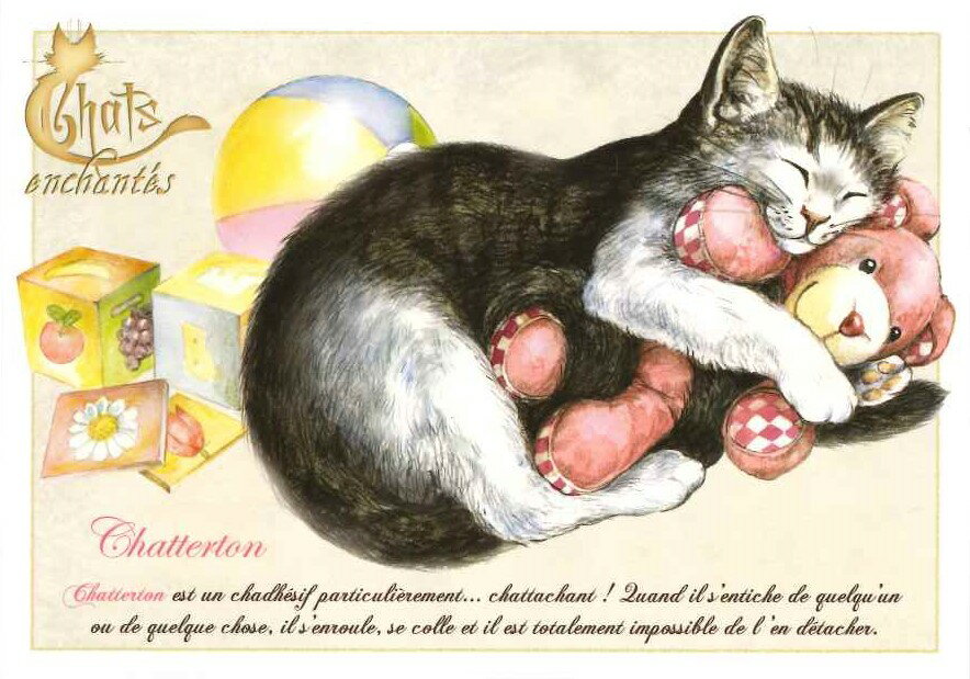 AU Bord des Continents キャット ポストカード フランス パリ おしゃれ 可愛い ロマンチック イラスト..