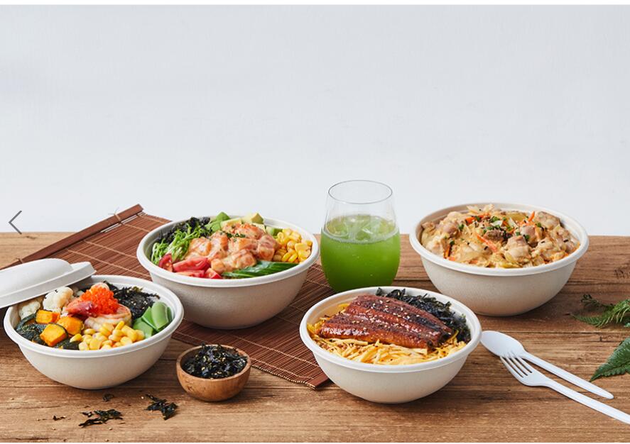 バガス フードパック 蓋つき 直径 約173×高さ63mm 300個入750ml Sabert 業務用 レンジOK ランチボックス 使い捨て サスティナブル 再生紙 紙容器 環境 おしゃれ テイクアウト容器