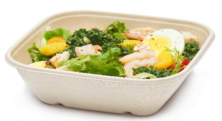 楽天BEST WISHES 楽天市場店バガス フードパック17x17x6.6cm 300入り 1000cc　丈夫 業務用 Sabert レンジOK イベント ランチボックス使い捨て カフェ丼 サスティナブル 再生紙 紙容器 紙トレイ 環境 おしゃれ カフェ 環境配慮 食品容器 本体紙製　フタPET テイクアウト容器 持ち帰り 容器