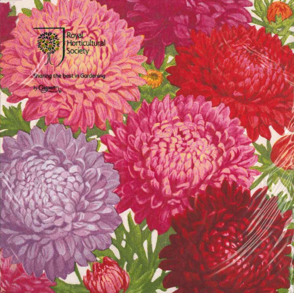 Caspari カスパリ ペーパーナプキン ランチサイズ 33x33cm 20枚入 デコパージュ おしゃれ テーブルコーディネート 紙ナプキン ドイツ 可愛い お茶会 パーティー 高品質 ラッピング 倉庫掘出し物 秋 オータム 花柄 菊 Josephine RHS