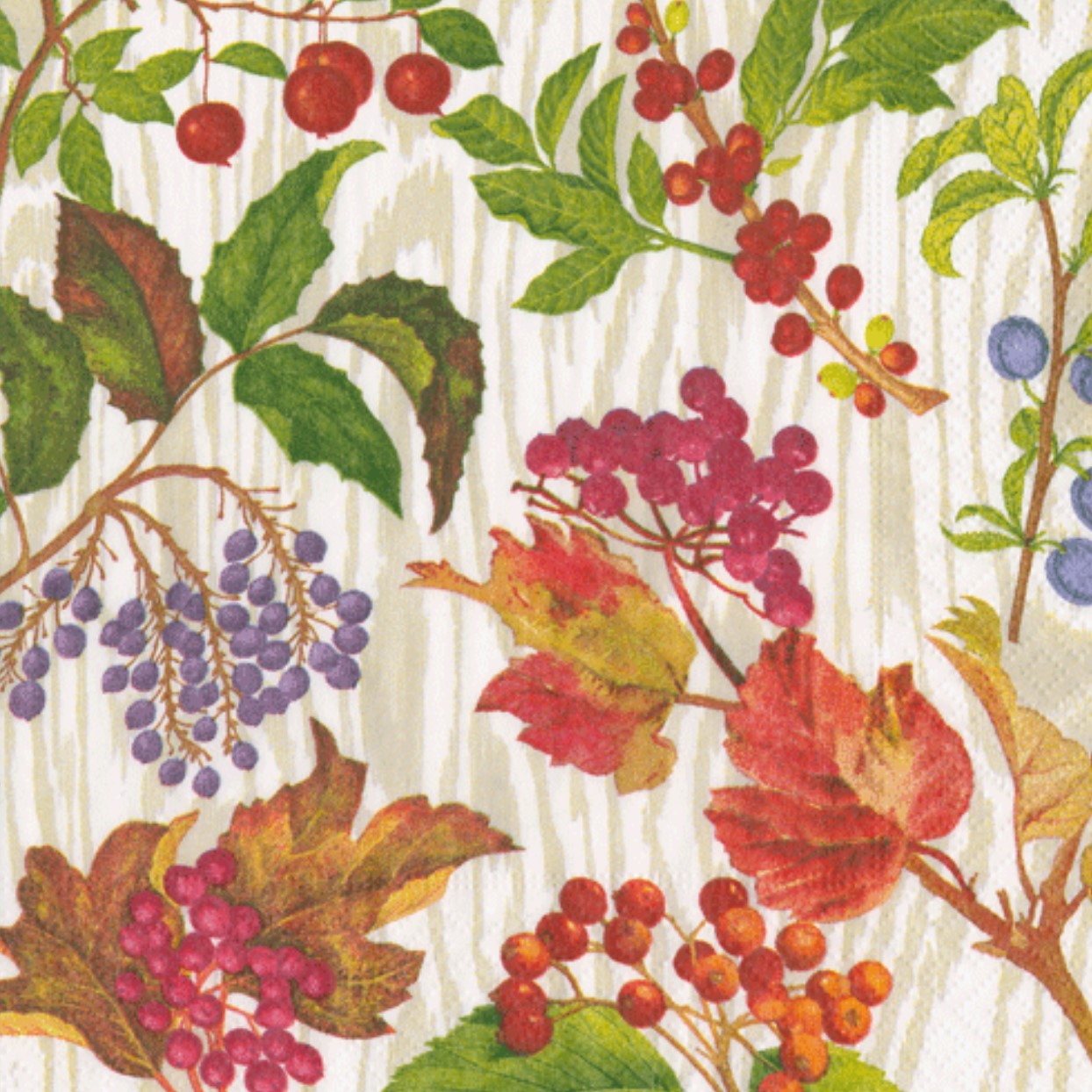 Caspari カスパリ ペーパーナプキン ランチサイズ 33x33cm 20枚入 デコパージュ おしゃれ テーブルコーディネート 紙ナプキン ドイツ 可愛い お茶会 パーティー 高品質 ベリー柄 秋 Berry Botanical RHS