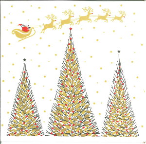 PPD ペーパーナプキンクリスマス ニューイヤー おしゃれ 20枚入 デコパージュ ホームパーティー 紙ナプキン ランチサイズ ドイツ 素敵 可愛い 女子会 パーティー 高品質 ラッピング BBQ 33x33cm