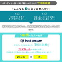 bestanswer:10001318のサンプル画像3