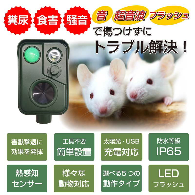 【IP65防水防塵】【ベストアンサー公式】野良猫 撃退 猫よけ 動物撃退器 猫 超音波 センサー カラスよけ 対策 光 音 ソーラー式 USB充電 野良猫対策 パネル 防滴 犬 鳥よけ 庭 撃退機 カラス 強力 ハクビシン糞尿対策 3