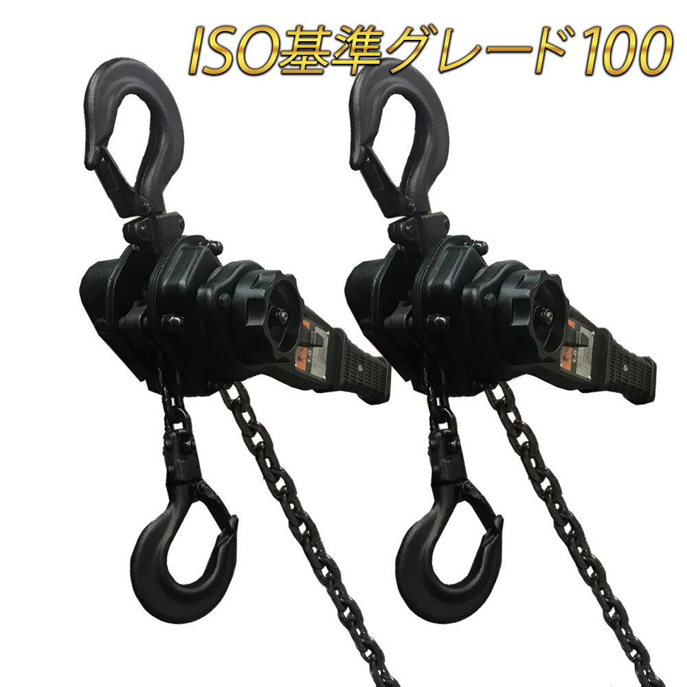 レバーホイスト 1.6t 1.5m 2台セット 16