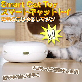 猫 おもちゃ 猫じゃらし 電動 ねこじゃらし 交換用羽毛付き 自動 電池式 ドーナツ型 子猫 led 遊び道具 スマートキャットトイ おしゃれ ねこ ネコ 運動 玩具 猫 おもちゃ 玩具 自動 猫じゃらし 家 一人遊び