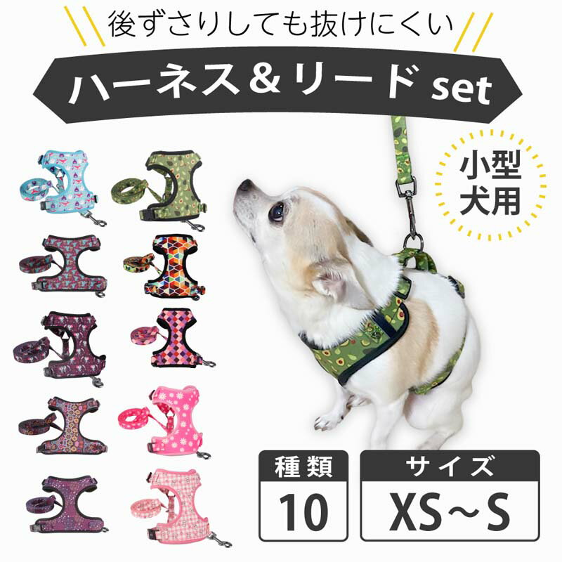 【全品ポイント5倍 期間限定】ハーネスタイプリード 小型犬 首輪 リードセット 犬 リード セット 中型犬 大型犬 おしゃれ かわいい ブランド 痛くない　猫