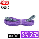 スリングベルト スリング 幅25mm 5m 使用荷重800kg 高品質 ナイロンスリング ベルトスリング 繊維ベルト 吊ベルト 長さ5m 運搬ベルト 運搬スリン...