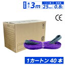 スリングベルト スリング ナイロン 3m 25mm 使用荷重800kg 1カートン 40本入り ケース ベルトスリング 繊維ベルト 工具 道具 運搬ベルト 運搬...