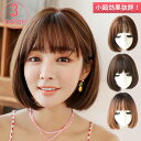 【先着100名様限定クーポン20%off】ウィッグ ショート 自然 フルウィッグ グラデーション 大人スタイリッシュショート ボブ ウイッグ カール 黒髪 かつら 女性 レディース コスプレ 医療用 ハロウィン 送料無料