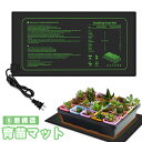 【先着100名様限定クーポン20%off】【楽天1位】植物 ヒーターマット 植物育苗ヒーターマット ヒートマット 温度調節 園芸用ヒーター 園芸発芽マット 育苗...