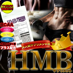 【ネコポス出荷】メガ盛り★HMBサプリメントどっさり約4ヶ月分