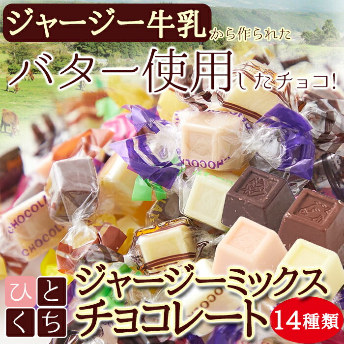 【お徳用】ジャージーミックスひとくちチョコレート300g(約60個)14種類 セッ ト 一口 大袋 個包装 ジャージー牛乳 チョコ 厳選 美味 便利 お菓子 ス...