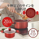 両手鍋 20cm デリシャスサインエボルト IHキャセロール 20センチ ih ガス火 対応 オール熱源 軽い フタ付き ガスコンロ ふっ素樹脂加工 ダイヤモン...
