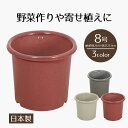 【 ポイント10倍 5/9(金)20:00〜5/16(金)1:59まで 】 植木鉢 鉢植え プラスチック 8号 ガーデンポット8号 ベジタブル & フラワー ガ...