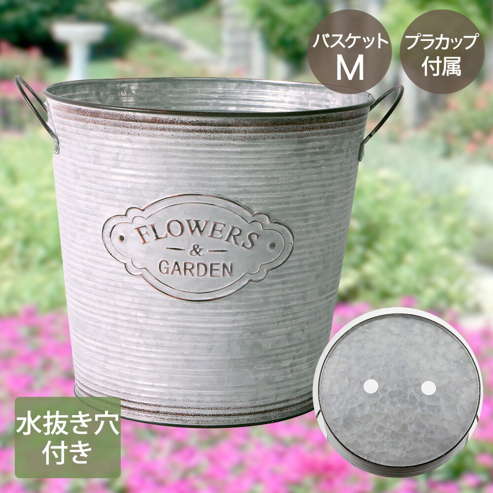 �� �ݥ����5�� 1/24(��)20:00��1/29(��)01:59�ޤ� �� �ե��� �����ǥ� �Х����å� M������ ���å��� NE-737 LIVPLUS | �ץ�󥿡� ������� �󤻿��� ����ȭ �����ǥ˥� �ݥå� ȭ���� ��ȴ���� ��ʪ���� ��Ϥ� ȭ���С� �֥ꥭ