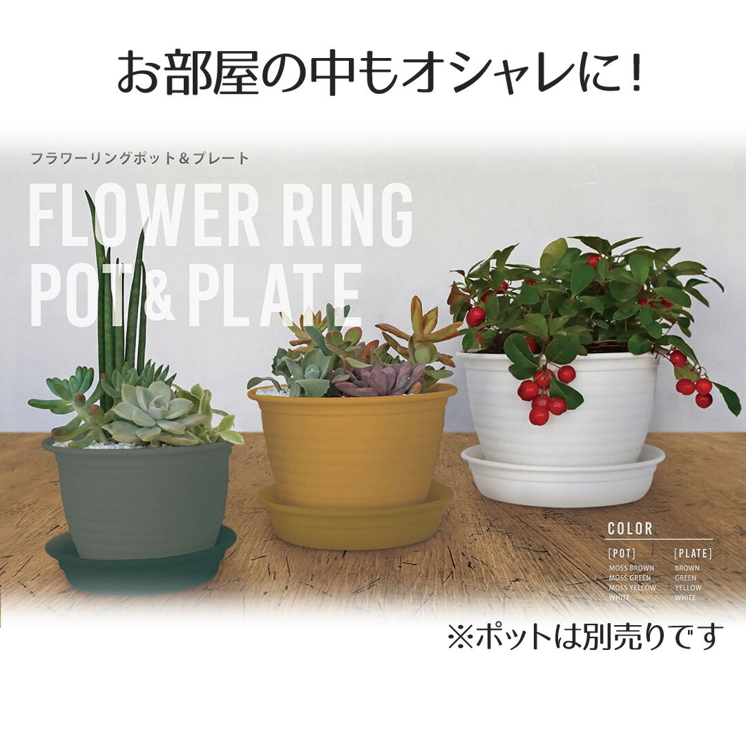 フラワーリングポット プレート5号 ベストコ  受け皿 鉢皿 受皿 プレート 鉢受け皿 水受け ソーサー 植木鉢用皿 植木鉢用 プラスチック 丸 5号鉢用 プラ鉢 花
