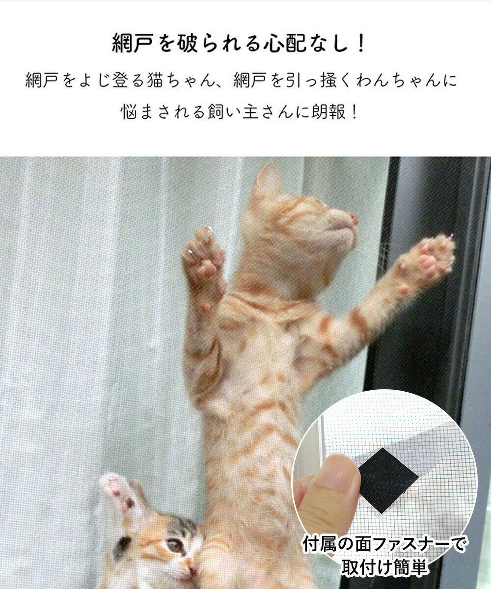 �� �ݥ����10�� 3/8(��)00:00��3/8(��)23:59�ޤ� �� �ָ��ݸ��å��奷���� ̵�� �֥�å� SDT-01 92cm��180cm ���¥���ӥ� | �ڥå� �ָ� ǭ �ͥ� �ͤ� �� �����ߤ� �ɻ� �ڥå��� �ͥå� �ָ��ݸ� �ݸ� �ڥå����ָ� ��å�
