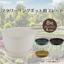 【エントリーポイント5倍7/19(土)20:00~7/26(土)01:59まで 】 フラワーリングポット プレート8号 ベストコ | 受け皿 鉢皿 受皿 プレート 鉢受け皿 水受け ソーサー 植木鉢用皿 植木鉢用 プラスチック 丸 8号鉢用 プラ鉢 花