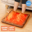足温器 | ホットカーペット 一人用 クッション あったかグッズ 足用ホットカーペット ミニ フットヒーター フットウォーマー ホットマット エコ ゆたんぽ 電気 防寒 寒さ対策 暖かい 足元ヒーター オフィス 就寝 足 ボア 裏ボア デスク下 ヒーター 温める 温かい 防寒グッズ