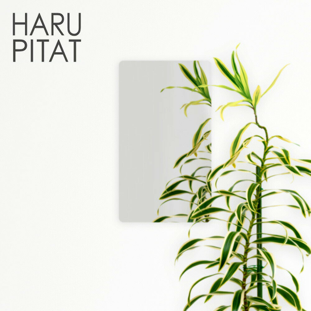 貼るだけ簡単 割れない鏡 ニューはるぴた 28cm×16.5cm | 姿見 貼る鏡 割れないミラー 壁掛け フィルムミラー クローゼット 粘着 ミラー 鏡 かが...