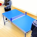 折りたたみ ピンポン台 | 屋外 ベランダ 庭 ガーデン テーブル ガーデニングテーブル 卓球台 卓球 家庭用 アウトドア テラス 屋外用 ボール ガーデンファ...