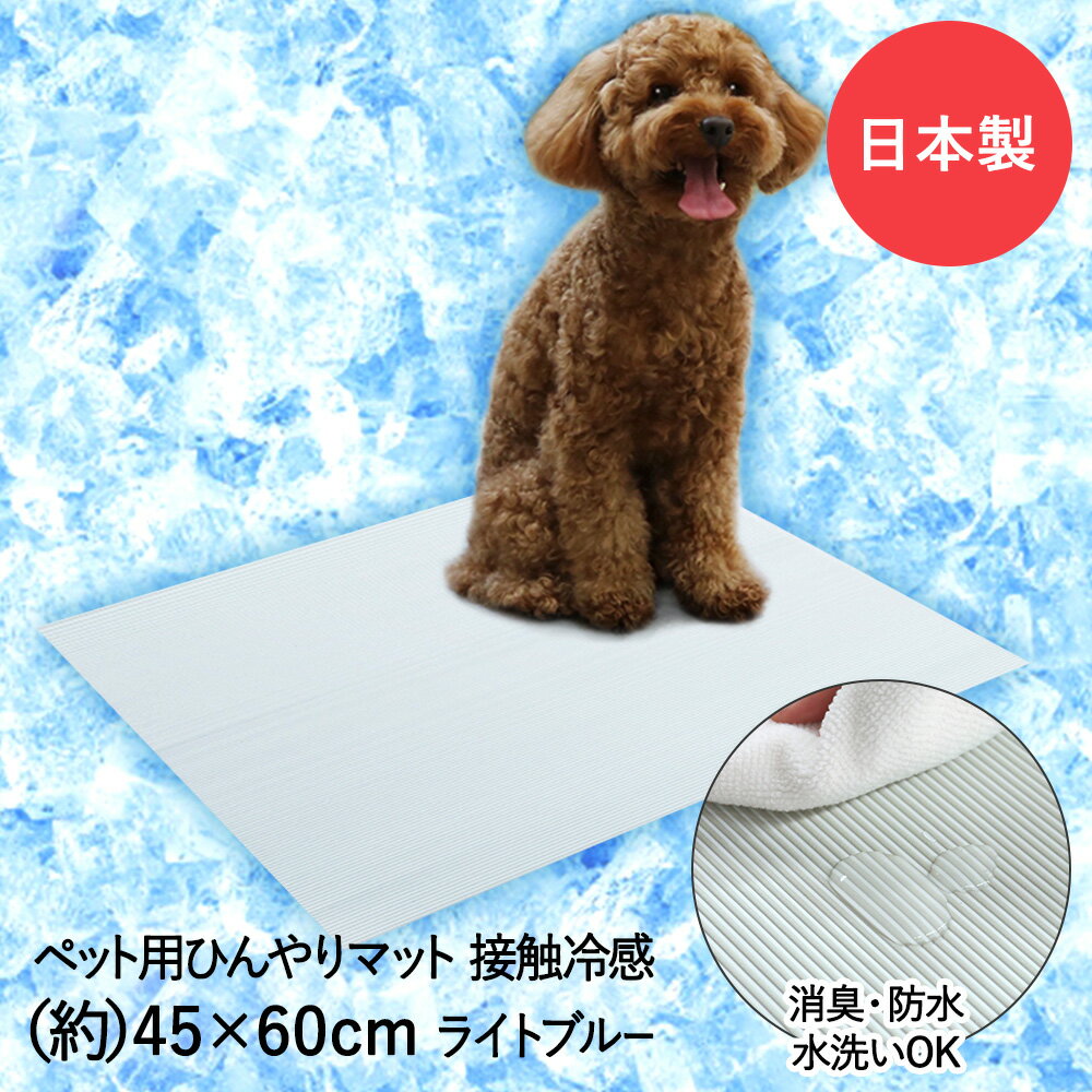 【 ポイント5倍 11/29(土)00:...