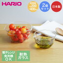 耐熱ガラス製 片口ボウル 2個セット HARIO 日本製 | 電子レンジ 冷凍庫 食器洗い乾燥機 OK 保存 レンジ 食器洗い機対応 調理 料理 キッチン キッ...