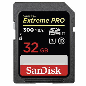 ◆△在庫特価！無くなり次第値上がり予定！（U3対応/V30対応/4K対応）【SANDISK】SDSDXPK-032G-GN4IN 　（R300MB/s）