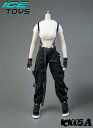 ICE TOYS IC1005 1/6 スケール 女性 可動 ミリタリー アクション フィギュア用 戦闘服 セット(3)