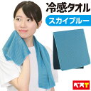 ひんやりタオル 冷感タオル 冷却タオル スカイブルー キッズ 熱中症対策 ネッククーラー アウトドア スポーツ レジャー 子供 冷たい 冷感 熱中症 towel...