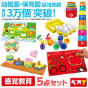 知育玩具 モンテッソーリ 感覚教育 5点セット 指先訓練 色 形 型はめ 図形 学習 勉強 教具 知育おもちゃ 指先遊び 指先知育 おもちゃ 1歳 2歳 3歳 ...
