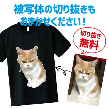 送料無料！高品質 オリジナルTシャツ 愛猫の写真を送るだけ 名入れ オーダーメイド おしゃれ おもしろ 面白 ギフト プレゼント ポリ100％ ドライTシャツ 4.4oz 男性 女性 男女兼用 150 160 S M L LL 【メール便対応】