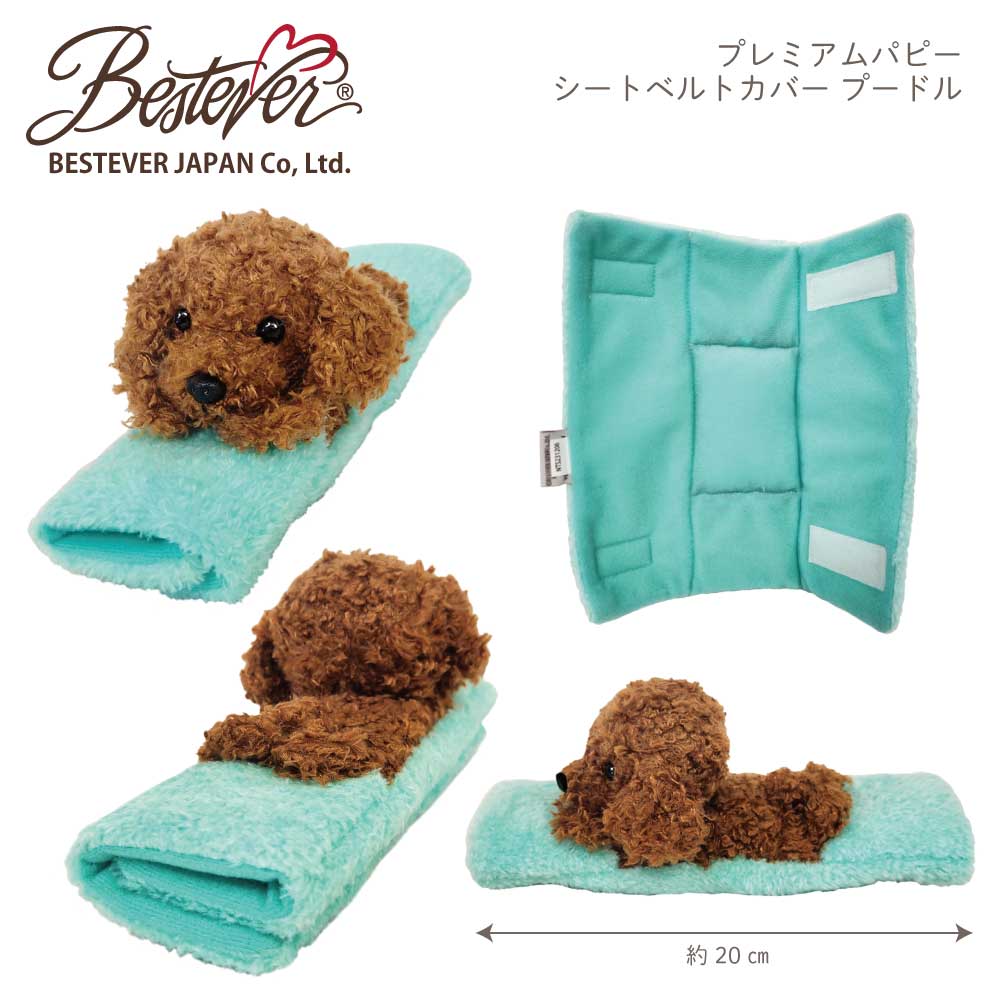 ��BESTEVER�ۥ��å� �� �������� �̤������ �� ���Ф��� �Ҷ��� ����� ������ �ץ쥼��� �ڥ����ȥ٥�ȥ��С��ۥȥ��ס��ɥ� ����ʥ����� �Ƹ�