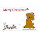 【ネコポス対応可 】メッセージカード トイプードル クリスマ...