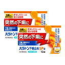 【第2類医薬品】 ハラトン下痢止めSP錠 12錠 【2個セット】【メール便】(4987360200690-2)(4987360200690-2)