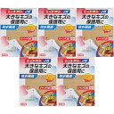 ニッコーバン JB No.516 ジャンボMサイズ 10枚【5個セット】【メール便】(4987164134504-5)(4)