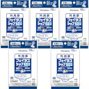 【第2類医薬品】フェイタスシップ 10枚入 【5個セット】【メール便】(4987188123980-5)