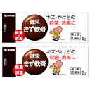 【第3類医薬品】健栄きず軟膏 5g 【2個セット】【メール便】【お取り寄せ】(4987286318059-2)