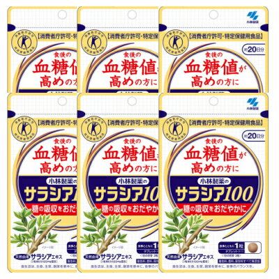 【6個セット】サラシア100 食後の血糖値が高めの方に(特定保健用食品) 約20日分 60粒 【メール便】(4987072039342-6)