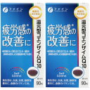 還元型コエンザイムQ10 90粒【2個セット】(4976652011267-2)
