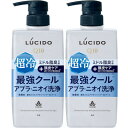 ルシード 薬用スカルプデオシャンプー EXクールタイプ 450ml【2個セット】(4902806118766-2)