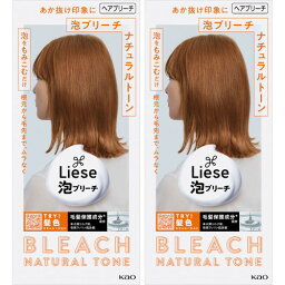 リーゼ 泡ブリーチ ナチュラルトーン 108ml【2個セット】(4901301433381-2)