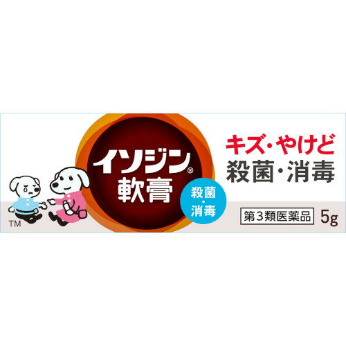 【第3類医薬品】イソジン軟膏 5g【メール便】(4987087041972)