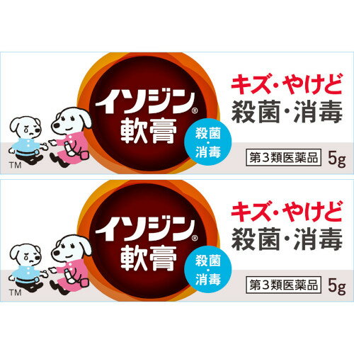 【第3類医薬品】イソジン軟膏 5g 【2個セット】【メール便】(4987087041972-2)