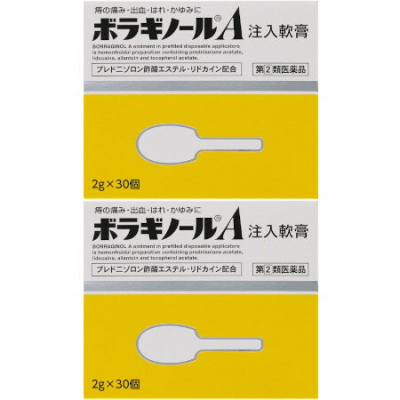 【第(2)類医薬品】ボラギノールA注入軟膏 2g×30個入【2個セット】(4987978101051-2)