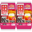 血流改善腰ホットン 5枚【2個セット】(4901548603707-2)